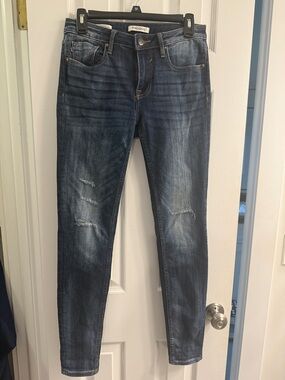 Vigoss Faded Blue Skinny Jeans